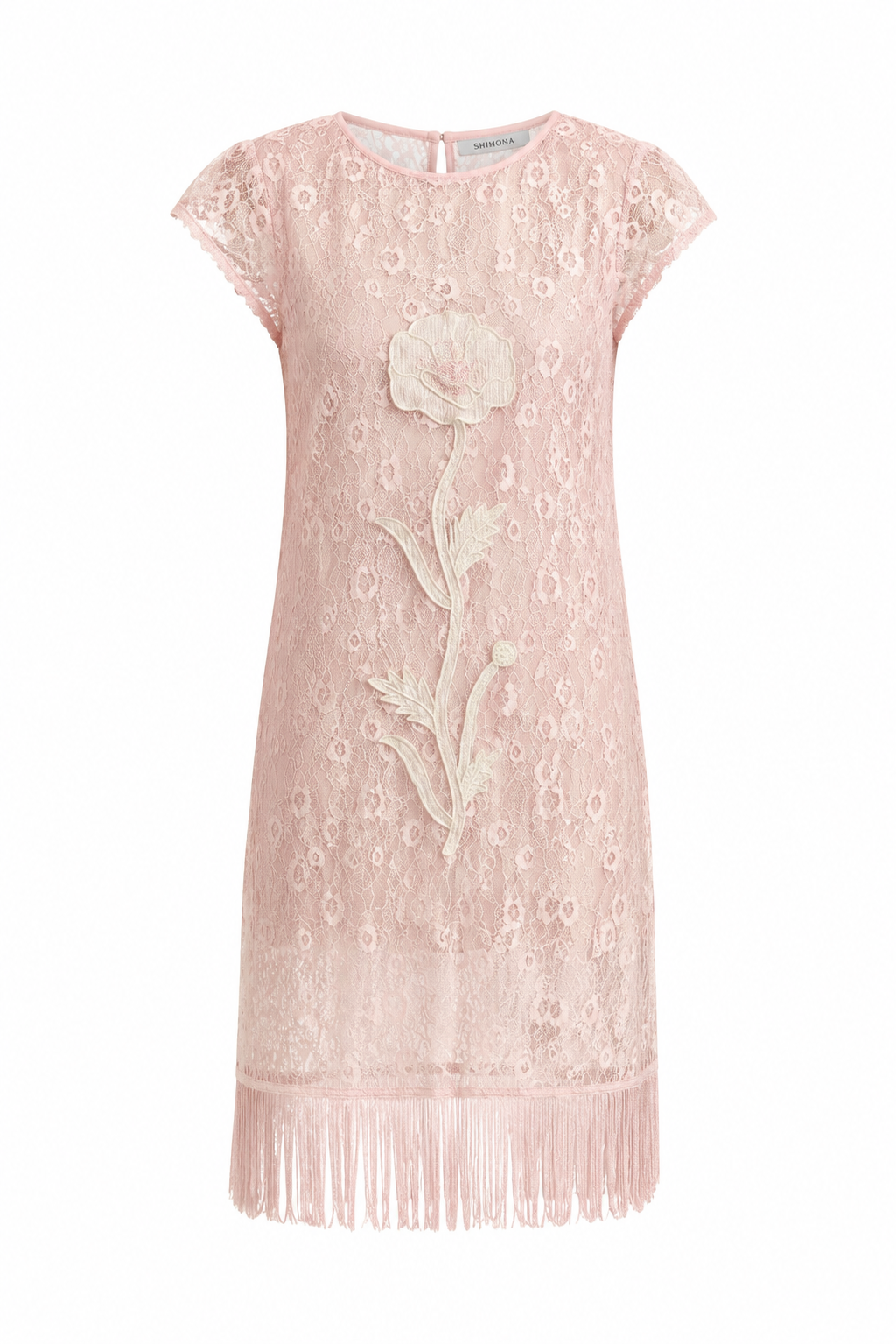 SHEER BLUSH FRINGE DRESS