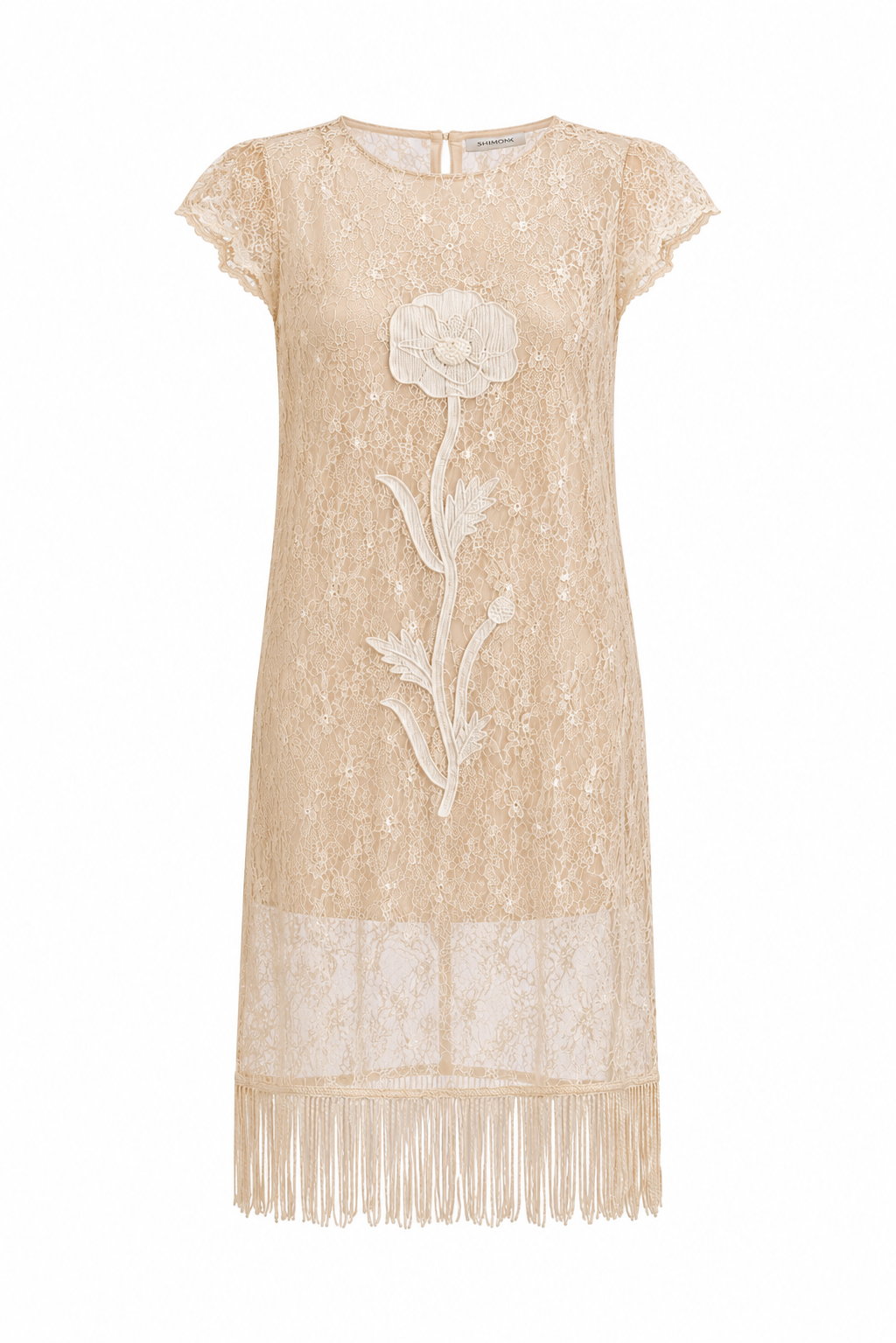 SHEER DESERT FRINGE DRESS